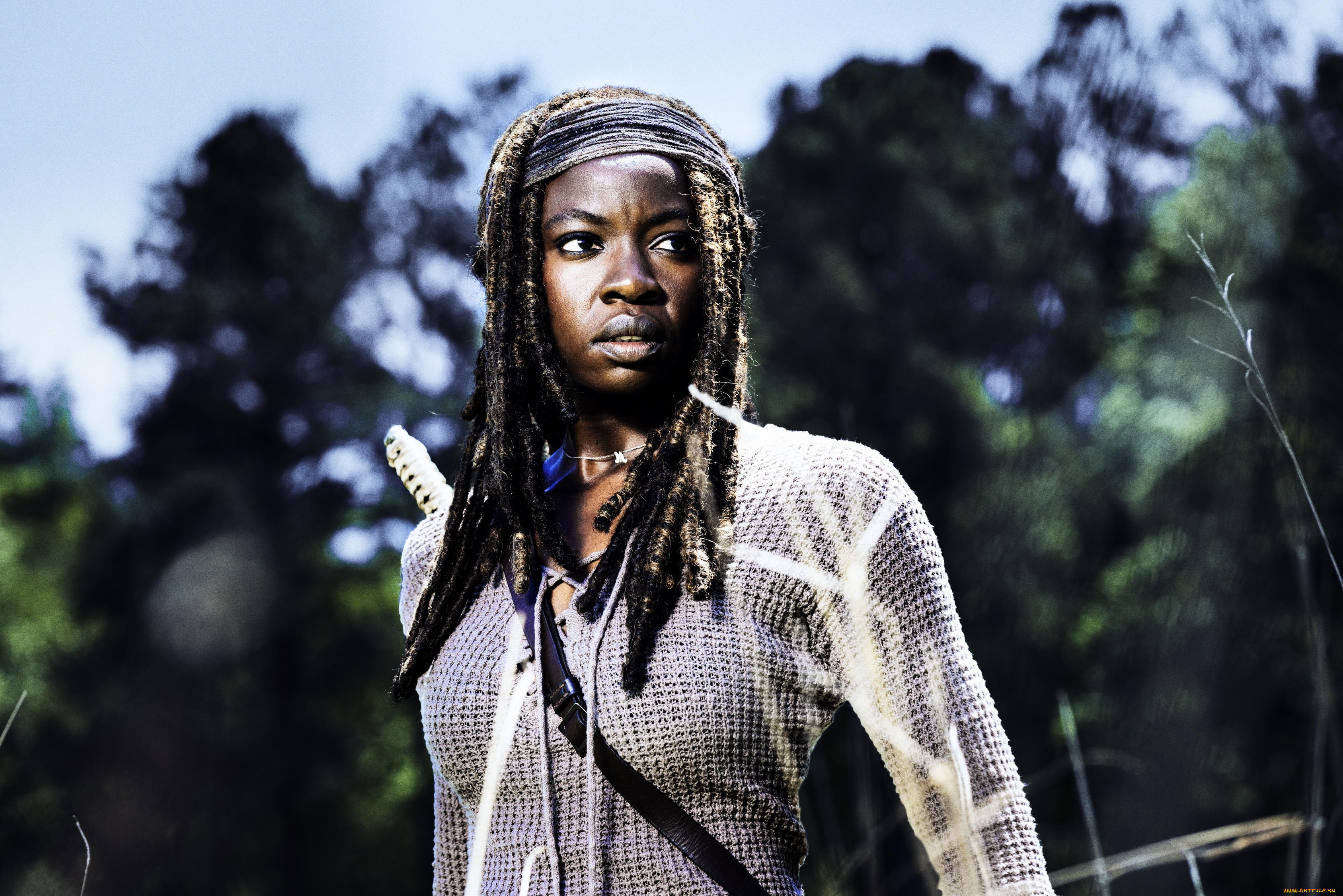  , the walking dead, action, , , , the, walking, dead